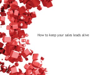 How to keep your sales leads alive
 