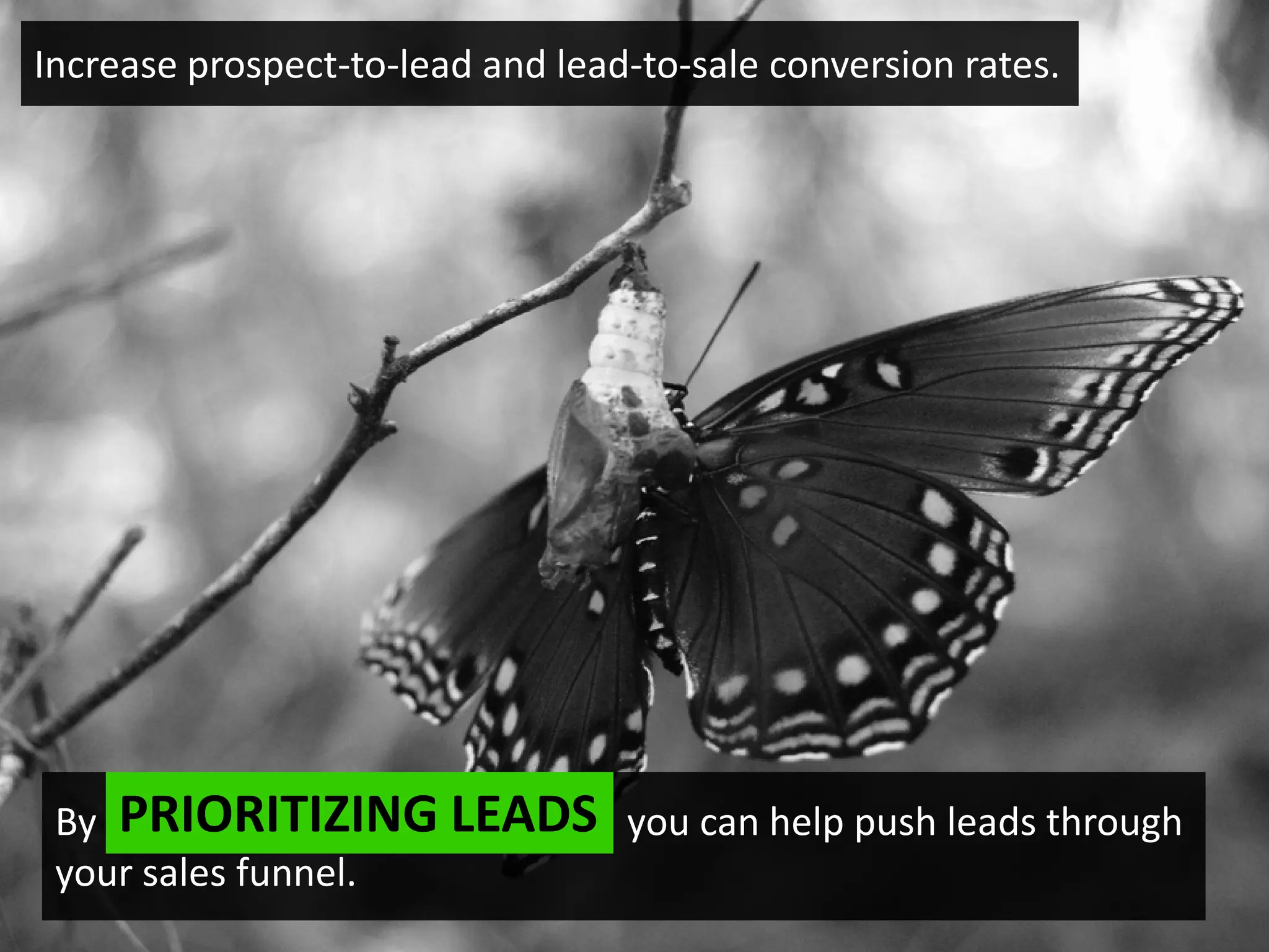 Increase prospect-to-lead and lead-to-sale conversion rates.




 By PRIORITIZING LEADS you can help push leads through
 your sales funnel.
 