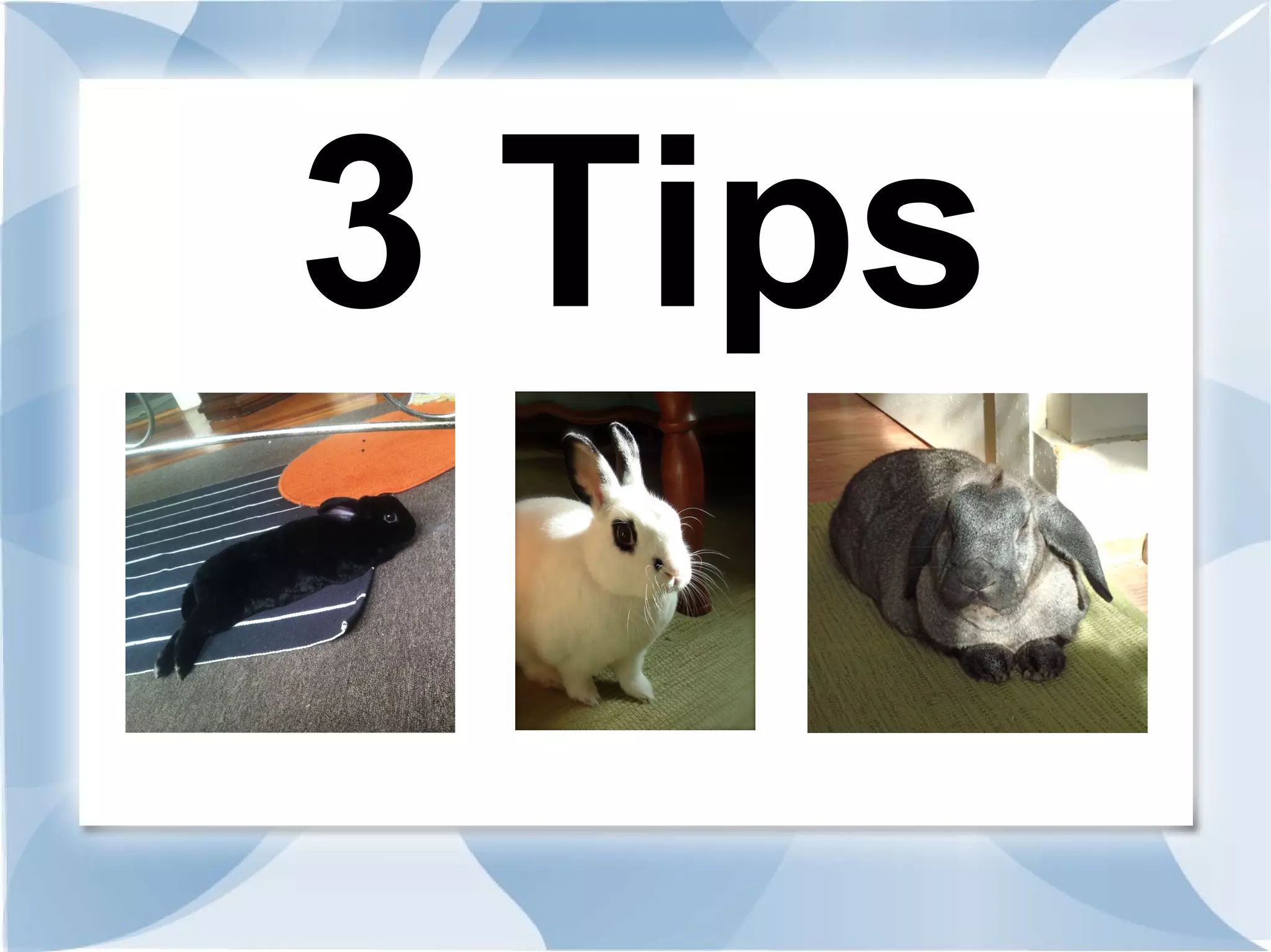 3 Tips
 