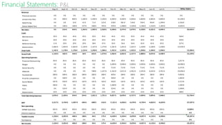 Financial Statements: P&L
Aug-14 Sept-14 Oct-14 Nov-14 Dez-14 Jan-15 Fev-15 Mar-15 Apr-15 May-15 Jun-15 Jul-15
Revenue
Premium version 0 € 0 € 0 € 0 € 0 € 0 € 0 € 0 € 0 € 0 € 0 € 0 € 0 €
Universities fees 0 € 800 € 800 € 1,600 € 2,400 € 3,200 € 4,000 € 4,000 € 4,000 € 4,800 € 4,800 € 4,800 € 35,200 €
Advertising 0 € 0 € 23 € 41 € 71 € 125 € 218 € 381 € 518 € 704 € 956 € 1,299 € 4,336 €
(Value Added Tax) 0 € -184 € -189 € -377 € -568 € -765 € -970 € -1,008 € -1,039 € -1,266 € -1,324 € -1,403 € -9,093 €
Net Sales 0 € 616 € 634 € 1,263 € 1,903 € 2,560 € 3,248 € 3,374 € 3,479 € 4,238 € 4,432 € 4,696 € 30,443 €
CoGS
Maintenance 45 € 45 € 45 € 45 € 45 € 45 € 45 € 45 € 45 € 45 € 45 € 45 € 540 €
Servers 20 € 20 € 20 € 20 € 20 € 20 € 20 € 20 € 20 € 20 € 20 € 20 € 240 €
Website hosting 11 € 20 € 20 € 29 € 38 € 47 € 56 € 56 € 56 € 65 € 65 € 65 € 527 €
Depreciation 1,066 € 1,093 € 1,093 € 1,120 € 1,147 € 1,174 € 1,201 € 1,201 € 1,201 € 1,228 € 1,228 € 1,228 € 13,976 €
Total CoGS 1,142 € 1,178 € 1,178 € 1,214 € 1,250 € 1,286 € 1,322 € 1,322 € 1,322 € 1,358 € 1,358 € 1,358 € 15,284 €
GrossProfit -1,142 € -562 € -544 € 50 € 653 € 1,274 € 1,926 € 2,052 € 2,157 € 2,880 € 3,074 € 3,338 € 15,159 €
Operating Expenses
Financial Outsourcing 85 € 85 € 85 € 85 € 85 € 85 € 85 € 85 € 85 € 85 € 85 € 85 € 1,017 €
Wages 0 € 0 € 0 € 0 € 0 € 0 € 3,000 € 3,000 € 3,000 € 3,000 € 3,000 € 3,000 € 18,000 €
Social Security 0 € 0 € 0 € 0 € 0 € 0 € 713 € 713 € 713 € 713 € 713 € 713 € 4,275 €
Adwords 0 € 0 € 0 € 0 € 708 € 1,237 € 2,162 € 1,811 € 2,461 € 3,343 € 3,633 € 3,701 € 19,056 €
Facebok Ads 280 € 600 € 280 € 280 € 280 € 280 € 600 € 280 € 280 € 280 € 280 € 280 € 4,000 €
Prize for competition 0 € 500 € 0 € 0 € 0 € 0 € 500 € 0 € 0 € 0 € 0 € 0 € 1,000 €
Social Media 187 € 450 € 165 € 165 € 165 € 165 € 450 € 165 € 165 € 165 € 165 € 165 € 2,572 €
Video 500 € 0 € 0 € 0 € 0 € 0 € 1,000 € 0 € 0 € 0 € 0 € 0 € 1,500 €
Fairs 0 € 524 € 0 € 0 € 0 € 0 € 524 € 0 € 0 € 0 € 0 € 0 € 1,048 €
Depreciation 24 € 24 € 24 € 24 € 24 € 24 € 24 € 24 € 24 € 24 € 24 € 24 € 288 €
Total Operating Expenses 1,076 € 2,183 € 554 € 554 € 1,261 € 1,791 € 9,057 € 6,078 € 6,727 € 7,609 € 7,899 € 7,968 € 52,756 €
EBIT -2,217 € -2,744 € -1,097 € -504 € -608 € -516 € -7,131 € -4,026 € -4,570 € -4,729 € -4,825 € -4,629 € -37,597 €
Non-operating
IAPMEI Subsidies 692 € 692 € 692 € 692 € 692 € 692 € 692 € 692 € 692 € 692 € 692 € 692 € 8,300 €
Interest expense 0 € 0 € 0 € 0 € 0 € 0 € 0 € 0 € 0 € 0 € 0 € 0 € 0 €
Taxable Income -1,526 € -2,053 € -406 € 188 € 84 € 175 € -6,439 € -3,334 € -3,878 € -4,037 € -4,133 € -3,938 € -29,297 €
Tax Expense 0 € 0 € 0 € 0 € 0 € 0 € 0 € 0 € 0 € 0 € 0 € 0 € 0 €
Net Income -1,526 € -2,053 € -406 € 188 € 84 € 175 € -6,439 € -3,334 € -3,878 € -4,037 € -4,133 € -3,938 € -29,297 €
TOTAL YEAR 1
 