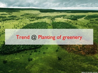 Trend @ Planting of greenery
 