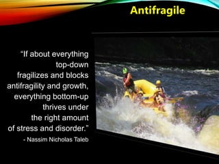 “If about everything
top-down
fragilizes and blocks
antifragility and growth,
everything bottom-up
thrives under
the right...