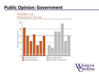 Public Opinion: Government