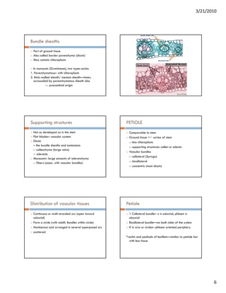 3/21/2010




Bundle sheaths
  Part of ground tissue
  Also called border parenchyma (dicots)
  May contain chloroplasts

  In monocots (Gramineae), two types exists:
1. Parenchymatous– with chloroplasts
2. thick-walled sheath/ mestom sheath—inner;
  surrounded by parenchymatous sheath also
           --- procambial origin




Supporting structures                                 PETIOLE
 Not so developed as in the stem                        Comparable to stem
 Flat blades– vascular system                           Ground tissue =~ cortex of stem
 Dicots                                                 -- less chloroplasts
 – the bundle sheaths and extensions                    -- supporting structures: collen or scleren
                                                                   ti   t t         ll        l
 -- collenchyma (large veins)
                                                        Vascular bundles
 -- sclereids
                                                        -- collateral (Syringa)
 Monocots– large amounts of sclerenchyma
 -- fibers (assoc. with vascular bundles)               -- bicollateral
                                                        -- concentric (most dicots)




Distribution of vascular tissues                      Petiole
  Continuous or multi-stranded arc (open toward         1 Collateral bundle– x is adaxial; phloem is
  adaxial)                                              abaxial
  Form a circle (with addtl. Bundles within circle)     Bicollateral bundle—on both sides of the xylem
  Numberous and arranged in several superposed arc      If in arcs or circles– phloem oriented periphery
                                                                      circles
  scattered
                                                      *rachis and pedicels of leaflets—similar to petiole but
                                                        with less tissue




                                                                                                                  6
 