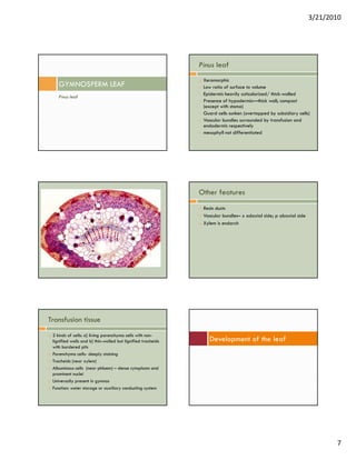 3/21/2010




                                                              Pinus leaf
                                                               Xeromorphic
    GYMNOSPERM LEAF                                            Low ratio of surface to volume
                                                               Epidermis heavily cuticularized/ thick-walled
    Pinus leaf
                                                               Presence of hypodermis—thick wall; compact
                                                                             yp                     ;   p
                                                               (except with stoma)
                                                               Guard cells sunken (overtopped by subsidiary cells)
                                                               Vascular bundles surrounded by transfusion and
                                                               endodermis respectively
                                                               mesophyll not differentiated




                                                              Other features
                                                               Resin ducts
                                                               Vascular bundles– x adaxial side; p abaxial side
                                                               Xylem is endarch




Transfusion tissue
 2 kinds of cells: a] living parenchyma cells with non-
 lignified walls and b] thin-walled but lignified tracheids      Development of the leaf
 with bordered pits
 Parenchyma cells- deeply staining
 Tracheids (near xylem)
 Albuminous cells (near phloem) – dense cytoplasm and
 prominent nuclei
 Universally present in gymnos
 Function: water storage or auxiliary conducting system




                                                                                                                         7
 