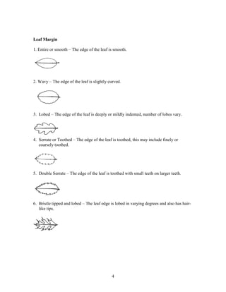 4
Leaf Margin
1. Entire or smooth – The edge of the leaf is smooth.
2. Wavy – The edge of the leaf is slightly curved.
3. Lobed – The edge of the leaf is deeply or mildly indented, number of lobes vary.
4. Serrate or Toothed – The edge of the leaf is toothed, this may include finely or
coarsely toothed.
5. Double Serrate – The edge of the leaf is toothed with small teeth on larger teeth.
6. Bristle tipped and lobed – The leaf edge is lobed in varying degrees and also has hair-
like tips.
 