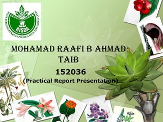 MOHAMAD RAAFI B AHMAD
TAIB
152036
(Practical Report Presentation)
 
