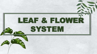 LEAF & FLOWER
SYSTEM
 