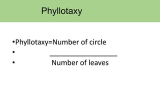 Phyllotaxy
•Phyllotaxy=Number of circle
• _________________
• Number of leaves
 