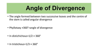 Angle of Divergence
• The angle formed between two successive leaves and the centre of
the stem is called angular divergence
• Phyllotaxy ×360°=angle of divergence
• In distichichous=1/2 × 360°
• In tristichous=1/3 × 360°
 