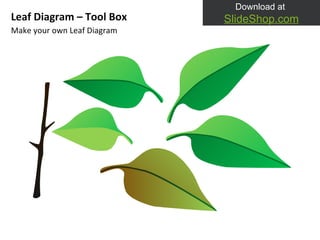 Make your own Leaf Diagram Leaf Diagram – Tool Box 