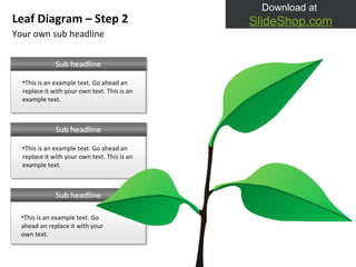 Your own sub headline Leaf Diagram – Step 2 This is an example text. Go ahead an replace it with your own text. This is an example text. This is an example text. Go ahead an replace it with your own text. This is an example text. Go ahead an replace it with your own text. This is an example text. 