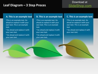 Leaf Diagram – 3 Step Proces This is an example text. Go ahead an replace it with your own text. This is an example text. Go ahead and replace it with your own text. C. This is an example text This is an example text. Go ahead an replace it with your own text. This is an example text. Go ahead and replace it with your own text. Go ahead and replace it with your own text. B. This is an example text This is an example text. Go ahead an replace it with your own text. This is an example text. Go ahead and replace it with your own text. Go ahead and replace it with your own text. A. This is an example text 