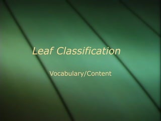 Leaf Classification Vocabulary/Content 