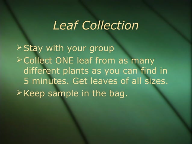 Leaf classification | PPT | Gardening | Home & Garden