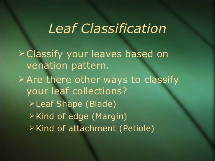 Leaf classification