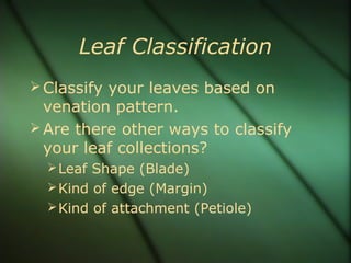 Leaf Classification
Classify your leaves based on
venation pattern.
Are there other ways to classify
your leaf collections?
Leaf Shape (Blade)
Kind of edge (Margin)
Kind of attachment (Petiole)
 