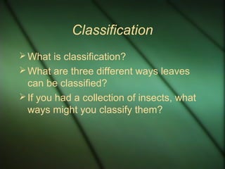 Classification
What is classification?
What are three different ways leaves
can be classified?
If you had a collection of insects, what
ways might you classify them?
 