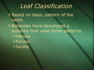 Leaf Classification
Based on basic pattern of the
veins.
Botanists have developed a
systems that uses three patterns.
Palmate
Pinnate
Parallel
 