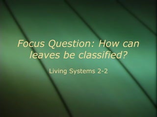 Focus Question: How can
leaves be classified?
Living Systems 2-2
 