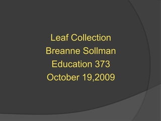 Leaf Collection Breanne Sollman Education 373 October 19,2009 