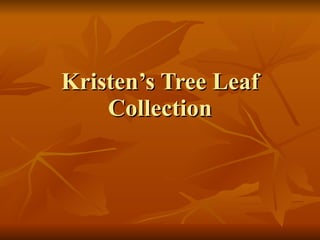 Kristen’s Tree Leaf Collection 