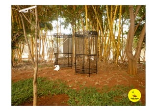 Leaf composters in Use