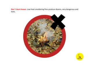 Don’t	
  burn	
  leaves.	
  Low	
  heat	
  smoldering	
  ﬁres	
  produce	
  dioxins,	
  very	
  dangerous	
  and	
  
toxic.	
  
 