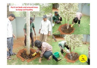 Put	
  it	
  on	
  beds	
  and	
  around	
  trees	
  
to	
  keep	
  soil	
  healthy	
  
 