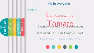 Leaf Curl Disease of
Tomato
Topic :
Given By : Dr Mr Gokul Chandra Biswas
Presented By : Jisan Ahmmed Polok
About
Symptomatolo
gy
Transmissionof
thevirus
Management
andCure
Conclusio
n
Shahjalal University of Science d Technology , Sylhet
Hello everyone
 