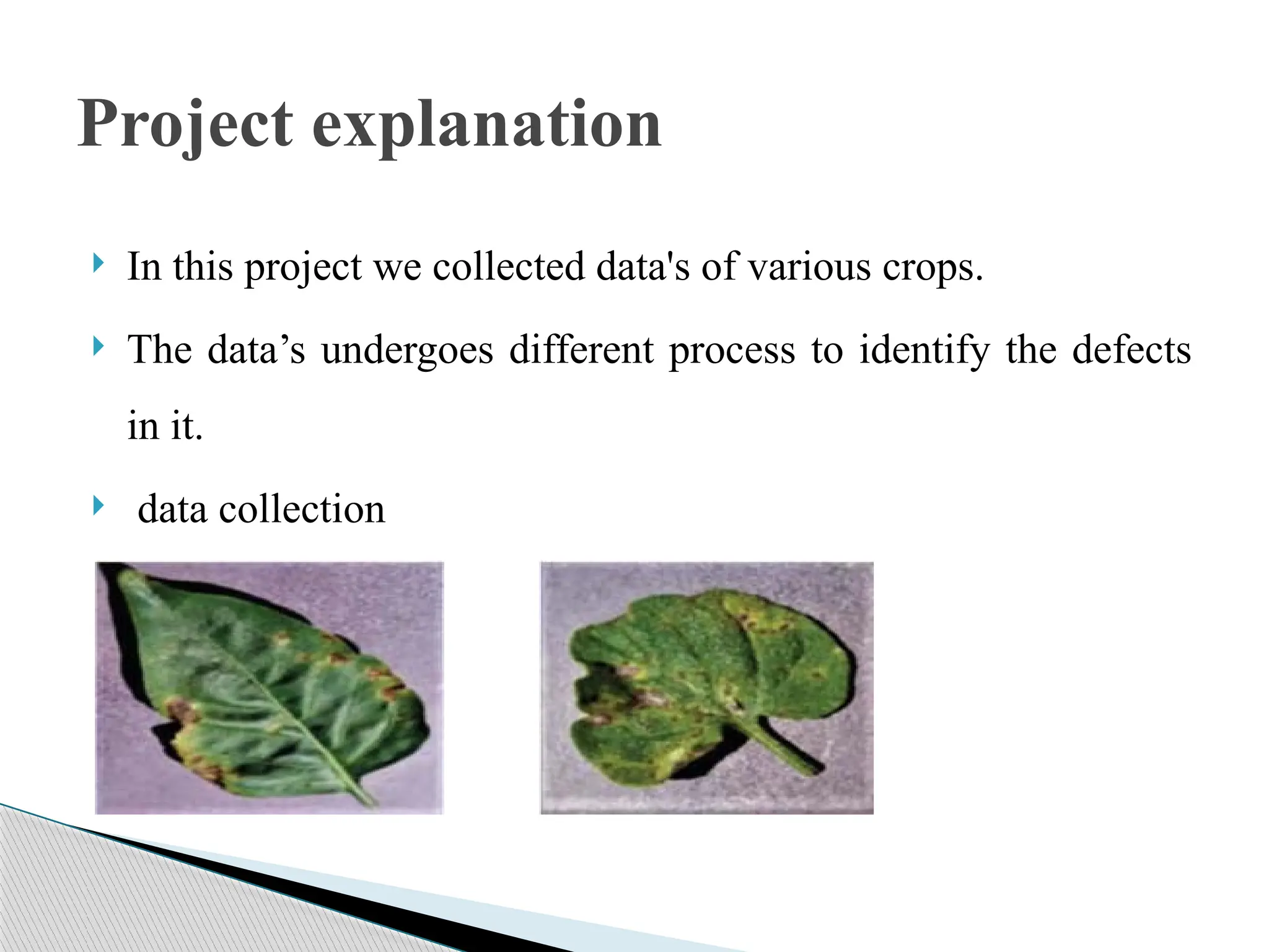  In this project we collected data's of various crops.
 The data’s undergoes different process to identify the defects
in it.
 data collection
Project explanation
 