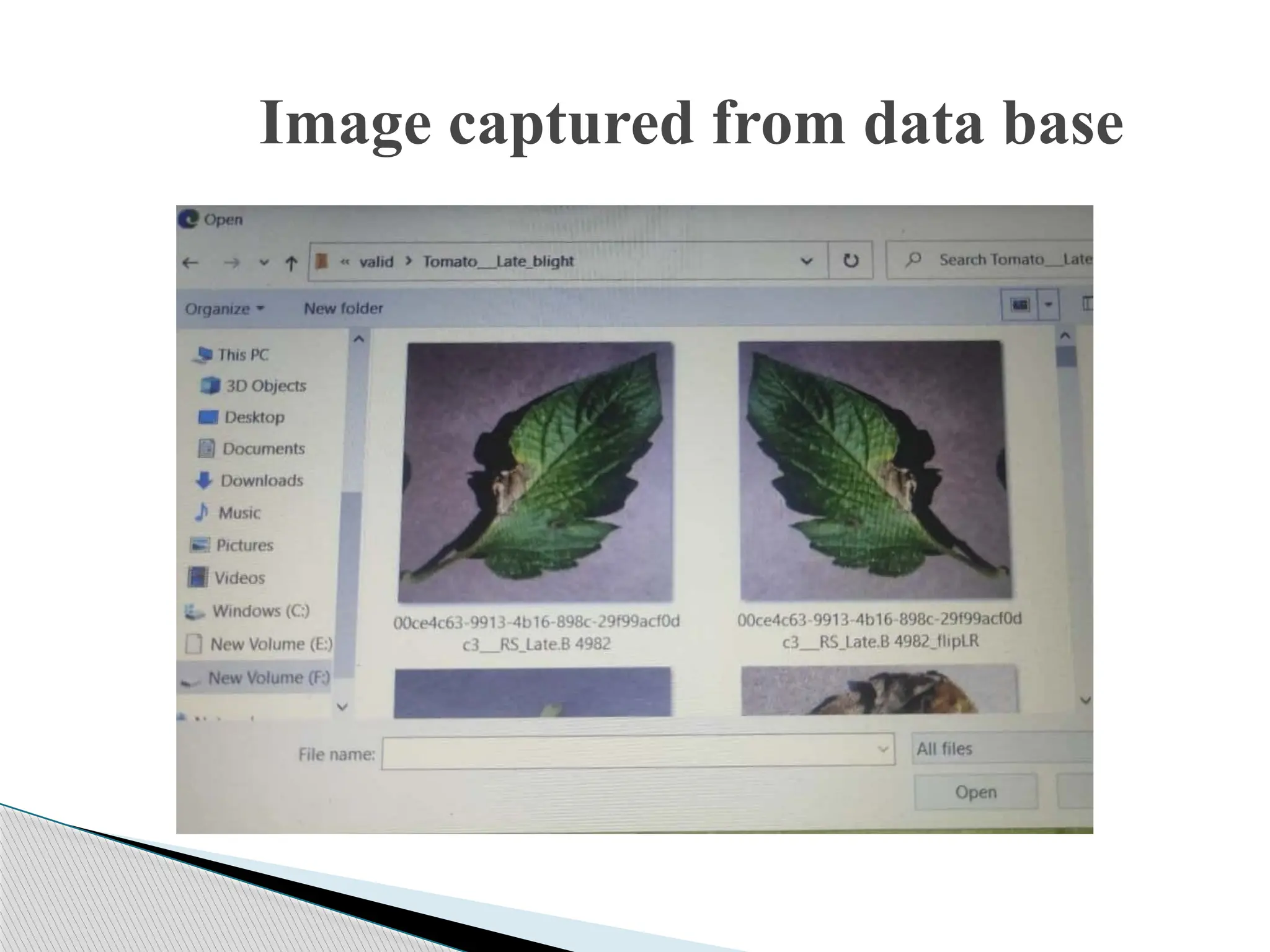 Image captured from data base
 