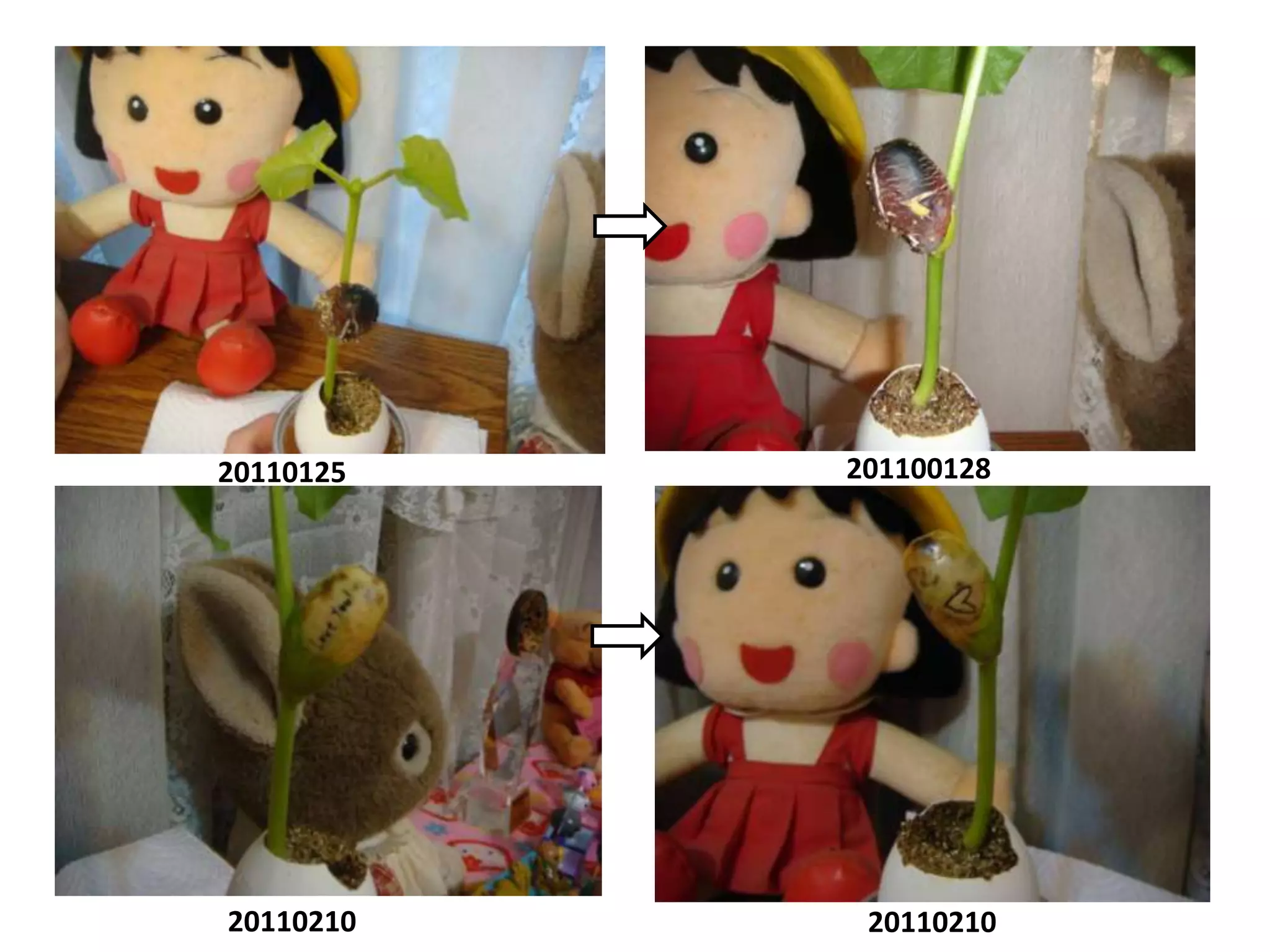 201100128 20110125 20110210 20110210 