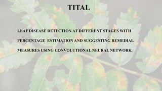 TITAL
LEAF DISEASE DETECTION AT DIFFERENT STAGES WITH
PERCENTAGE ESTIMATION AND SUGGESTING REMEDIAL
MEASURES USING CONVOLUTIONAL NEURAL NETWORK.
 