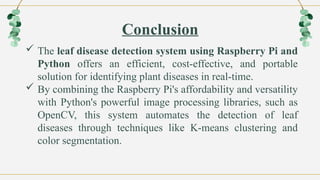 Leaf Disease Detection using Raspberry Pi.pptx