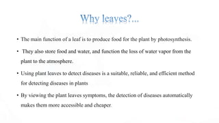 Leaf diseases detection system using machine learning.pptx