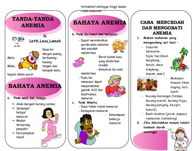 Leaflet anemia akper pemda raha 2 Leaflet anemia akper pemda raha 2
