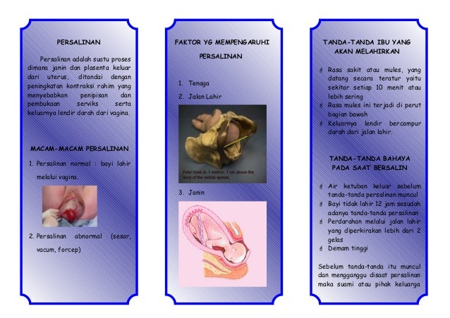 Leaflet bersalin