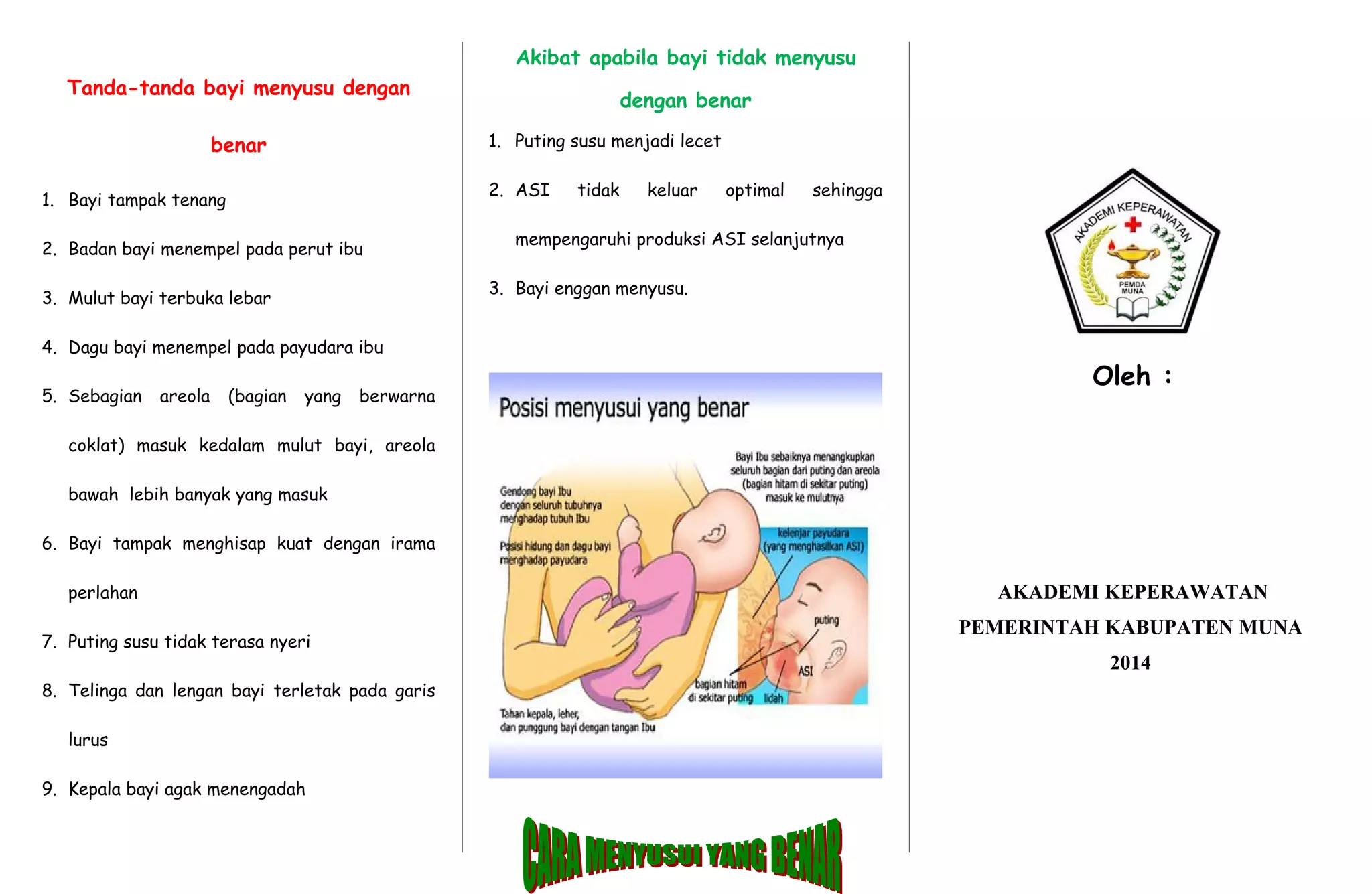 Leaflet cara menyusui bayi yang benar 2 | DOC