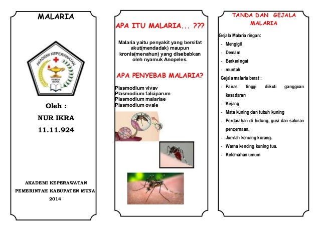 Leaflet Malaria Akper Muna
