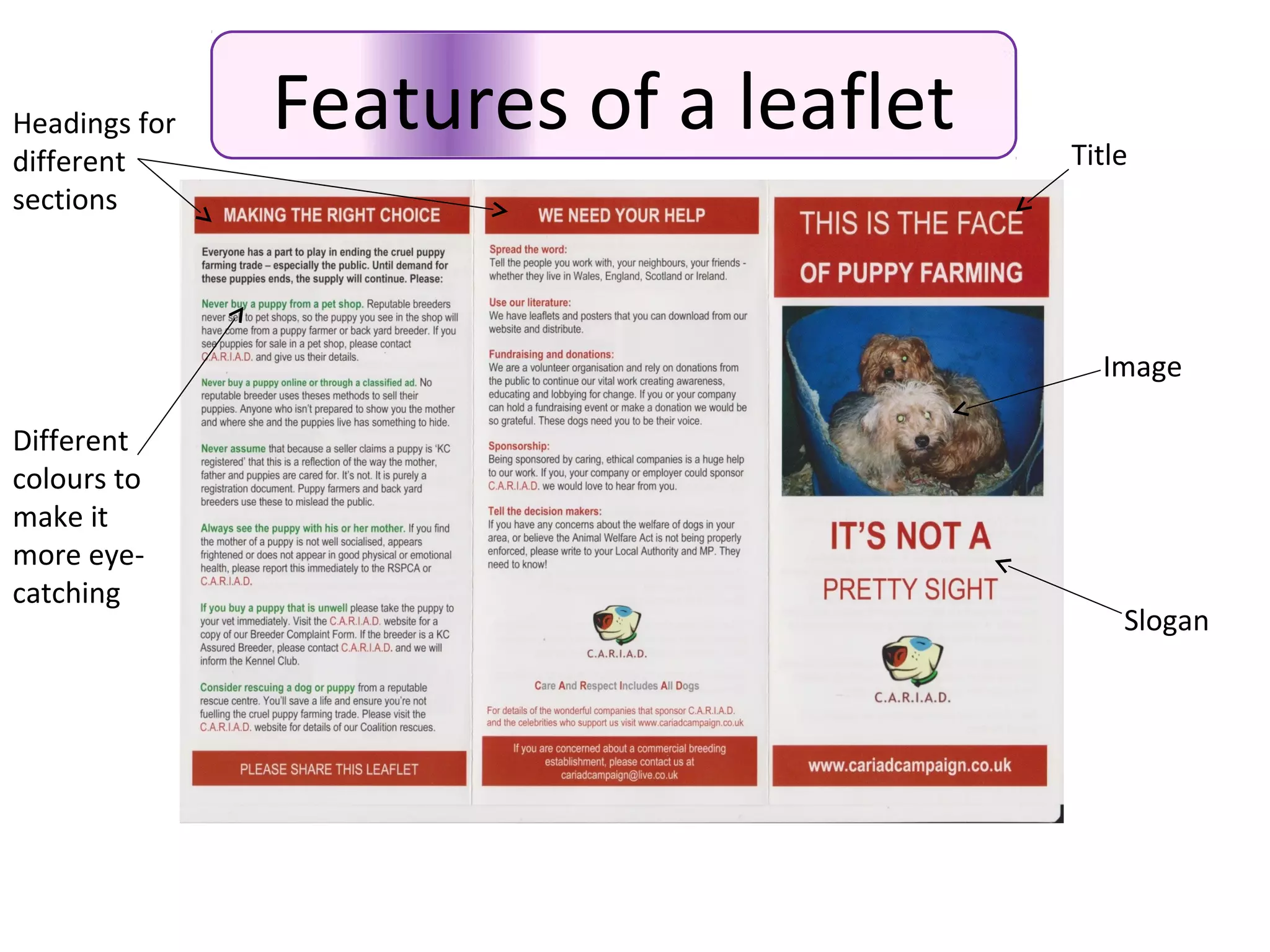 Features of a leafletHeadings for
different
sections
Different
colours to
make it
more eye-
catching
Image
Slogan
Title
 