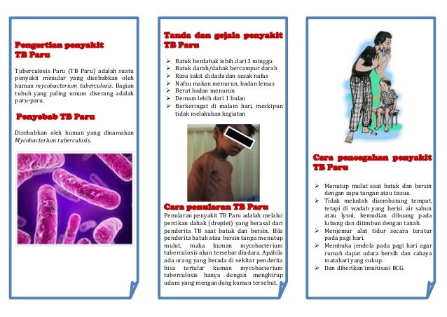 Leaflet Tbc Akper Raha 2