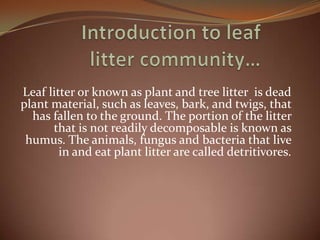 Introduction to leaf litter community… Leaf litter or known as plant and tree litter  is dead plant material, such as leaves, bark, and twigs, that has fallen to the ground. The portion of the litter that is not readily decomposable is known as humus. The animals, fungus and bacteria that live in and eat plant litter are called detritivores. 