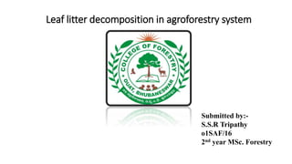 Leaf litter decomposition in agroforestry system
Submitted by:-
S.S.R Tripathy
o1SAF/16
2nd year MSc. Forestry
 