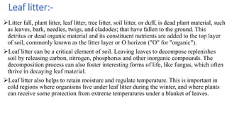 Leaf litter:-
Litter fall, plant litter, leaf litter, tree litter, soil litter, or duff, is dead plant material, such
as leaves, bark, needles, twigs, and cladodes; that have fallen to the ground. This
detritus or dead organic material and its constituent nutrients are added to the top layer
of soil, commonly known as the litter layer or O horizon ("O" for "organic").
Leaf litter can be a critical element of soil. Leaving leaves to decompose replenishes
soil by releasing carbon, nitrogen, phosphorus and other inorganic compounds. The
decomposition process can also foster interesting forms of life, like fungus, which often
thrive in decaying leaf material.
Leaf litter also helps to retain moisture and regulate temperature. This is important in
cold regions where organisms live under leaf litter during the winter, and where plants
can receive some protection from extreme temperatures under a blanket of leaves.
 