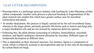 LEAF LITTER DECOMPOTION
• Decomposition is a multistage process initiates with leaching by water liberating soluble
carbon compounds. Another early process is physical breakup or fragmentation of the
plant material into smaller bits which have greater surface area for microbial
colonization and attack.
• In smaller dead plants, this process is largely carried out by the soil invertebrate fauna,
whereas in the larger plants, primarily parasitic life-forms such as insects and fungi play
a major breakdown role and are not assisted by numerous detrivore species.
• Following this, the plant detritus (consisting of cellulose, hemicellulose, microbial
products, and lignin) undergoes chemical alteration by microbes. Different types of
compounds decompose at different rates.
• This is dependent on their chemical structure. For instance, lignin is a component of
wood, which is relatively resistant to decomposition and can in fact only be decomposed
by certain black-rot fungi.
 