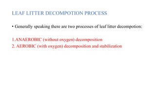 LEAF LITTER DECOMPOTION PROCESS
• Generally speaking there are two processes of leaf litter decompotion:
1.ANAEROBIC (without oxygen) decomposition
2. AEROBIC (with oxygen) decomposition and stabilization
 