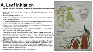 Leaf morphogenesis and and devlopment.pptx