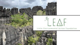 thumbnail of LEAF (Little Environmental Action Foundation)