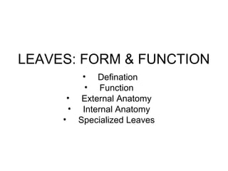 LEAVES: FORM & FUNCTION
• Defination
• Function
• External Anatomy
• Internal Anatomy
• Specialized Leaves
 